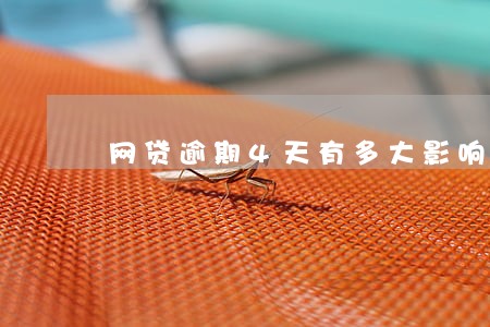 网贷逾期4天有多大影响 网贷逾期4天有多大影响