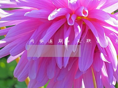 网贷逾期4天联系紧急联系人 网贷逾期4天联系紧急联系人