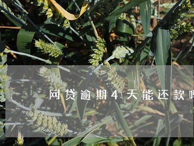 网贷逾期4天能还款吗 网贷逾期4天能还款吗