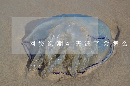 网贷逾期4天还了会怎么样 网贷逾期4天还了会怎么样