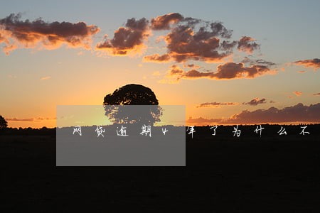 网贷逾期4年了为什么不起诉 网贷逾期4年了为什么不起诉