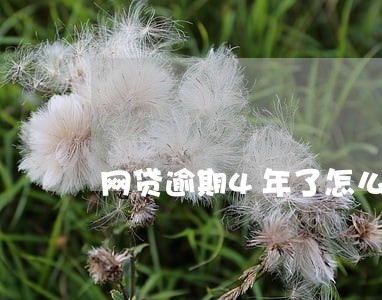 网贷逾期4年了怎么处理 网贷逾期4年了怎么处理
