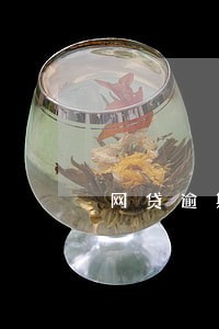 网贷逾期4年会上征信吗 网贷逾期4年会上征信吗