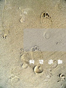 网贷逾期4年多已上征信 网贷逾期4年多已上征信