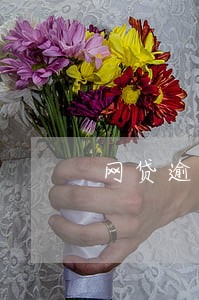 网贷逾期4年接到催收 网贷逾期4年接到催收