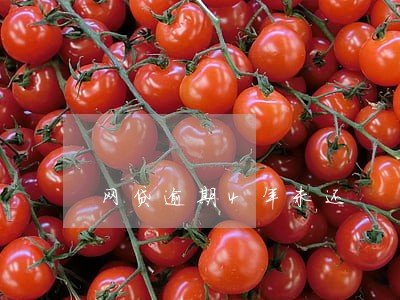 网贷逾期4年未还 网贷逾期4年未还