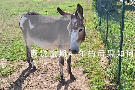网贷逾期4年的后果如何