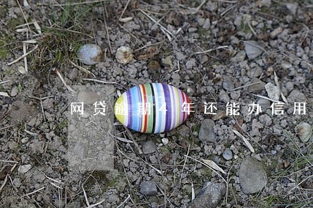 网贷逾期4年还能办信用卡吗 网贷逾期4年还能办信用卡吗