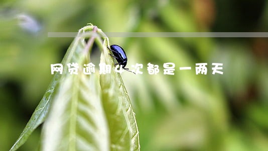 网贷逾期4次都是一两天 网贷逾期4次都是一两天