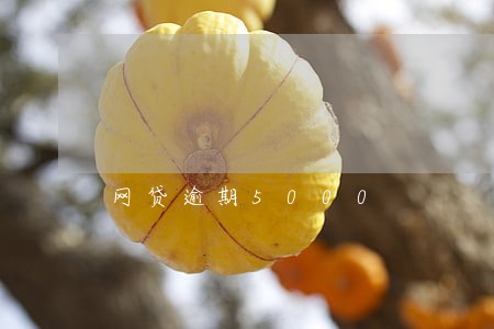 网贷逾期5000