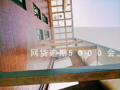网贷逾期5000会上户籍地吗 网贷逾期5000会上户籍地吗