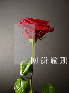 网贷逾期5000会上门吗 网贷逾期5000会上门吗