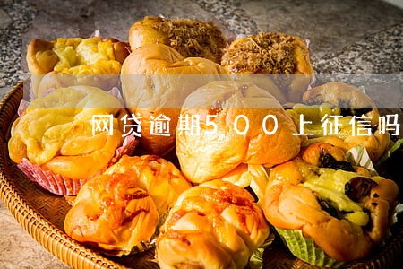 网贷逾期500上征信吗 网贷逾期500上征信吗