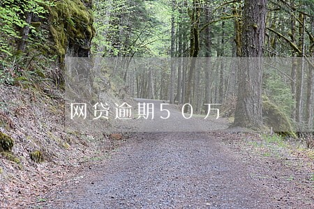 网贷逾期50万 网贷逾期50万