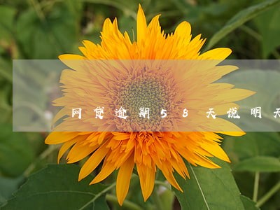 网贷逾期58天说明天来找我 网贷逾期58天说明天来找我