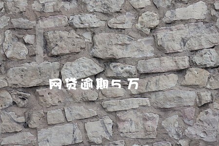 网贷逾期5万