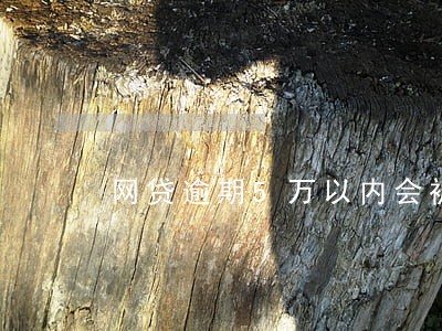 网贷逾期5万以内会被起诉么 网贷逾期5万以内会被起诉么