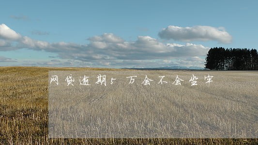 网贷逾期5万会不会坐牢 网贷逾期5万会不会坐牢