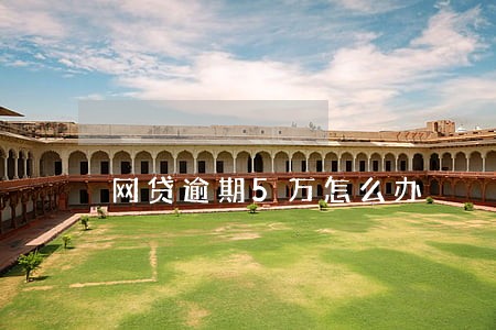 网贷逾期5万怎么办 网贷逾期5万怎么办
