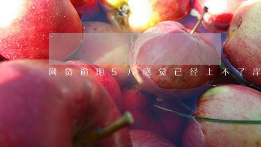 网贷逾期5万感觉已经上不了岸了 网贷逾期5万感觉已经上不了岸了