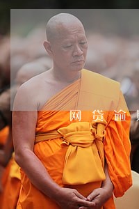 网贷逾期5个月不再打电话了