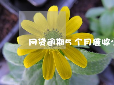 网贷逾期5个月催收少l 网贷逾期5个月催收少l