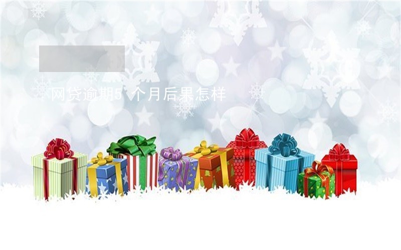 网贷逾期5个月后果怎样 网贷逾期5个月后果怎样