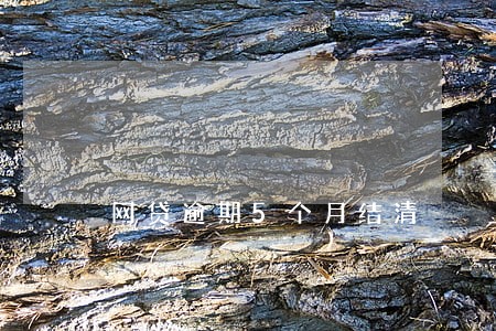 网贷逾期5个月结清 网贷逾期5个月结清
