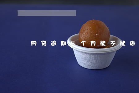 网贷逾期5个月能不能做高铁 网贷逾期5个月能不能做高铁