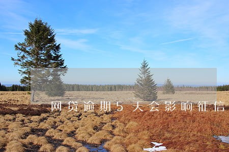 网贷逾期5天会影响征信吗