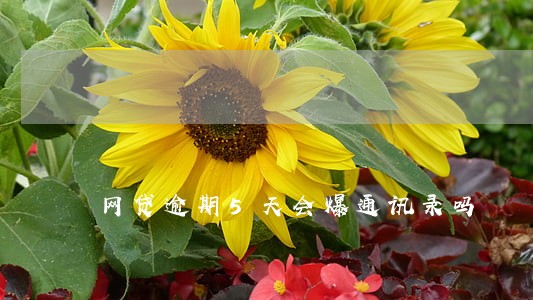 网贷逾期5天会爆通讯录吗 网贷逾期5天会爆通讯录吗