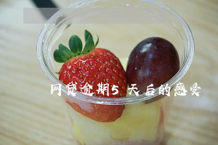 网贷逾期5天后的感受 网贷逾期5天后的感受