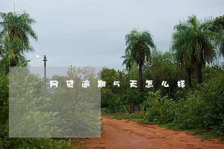 网贷逾期5天怎么样 网贷逾期5天怎么样