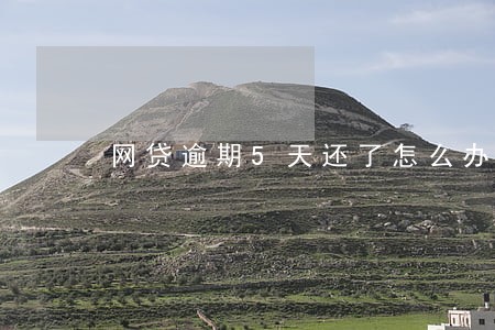 网贷逾期5天还了怎么办