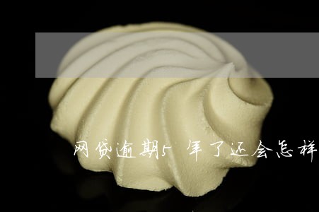 网贷逾期5年了还会怎样 网贷逾期5年了还会怎样