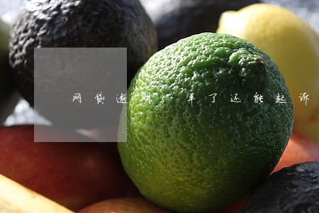 网贷逾期5年了还能起诉吗 网贷逾期5年了还能起诉吗