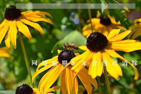 网贷逾期5年会自己消除吗 网贷逾期5年会自己消除吗