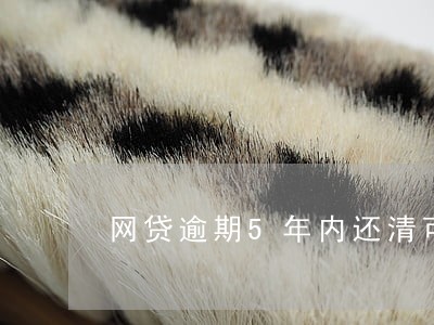 网贷逾期5年内还清可以吗 网贷逾期5年内还清可以吗