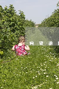 网贷逾期5年利息怎么算 网贷逾期5年利息怎么算