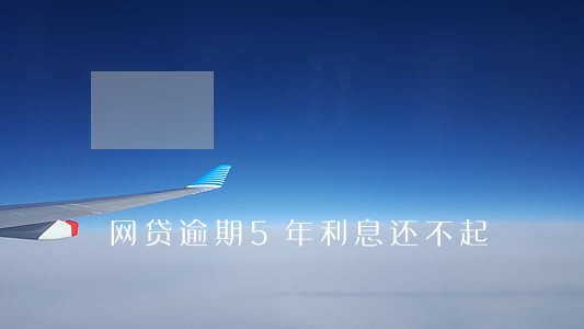 网贷逾期5年利息还不起 网贷逾期5年利息还不起