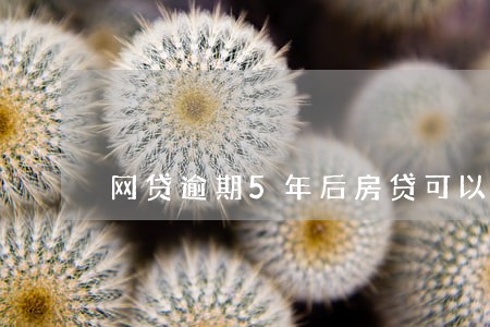 网贷逾期5年后房贷可以贷吗