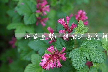 网贷逾期5年后还会怎样 网贷逾期5年后还会怎样