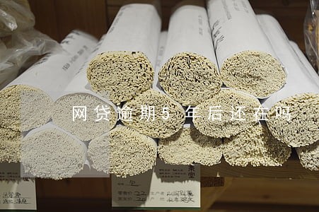 网贷逾期5年后还在吗 网贷逾期5年后还在吗