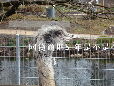 网贷逾期5年是不是不用还 网贷逾期5年是不是不用还