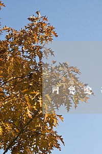 网贷逾期5年没被起诉 网贷逾期5年没被起诉