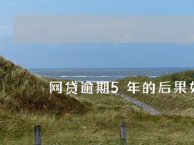 网贷逾期5年的后果如何 网贷逾期5年的后果如何