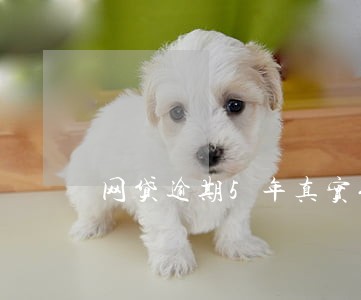 网贷逾期5年真实例子 网贷逾期5年真实例子