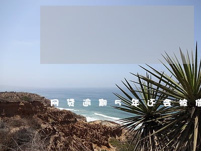 网贷逾期5年还会被催收吗 网贷逾期5年还会被催收吗