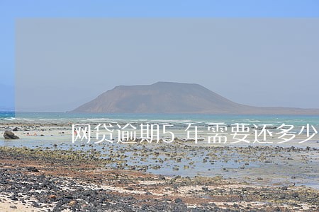 网贷逾期5年需要还多少钱 网贷逾期5年需要还多少钱