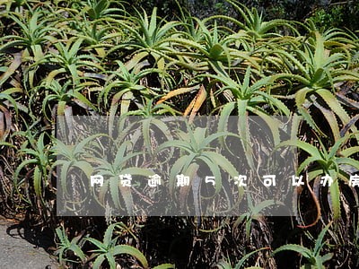 网贷逾期5次可以办房贷吗